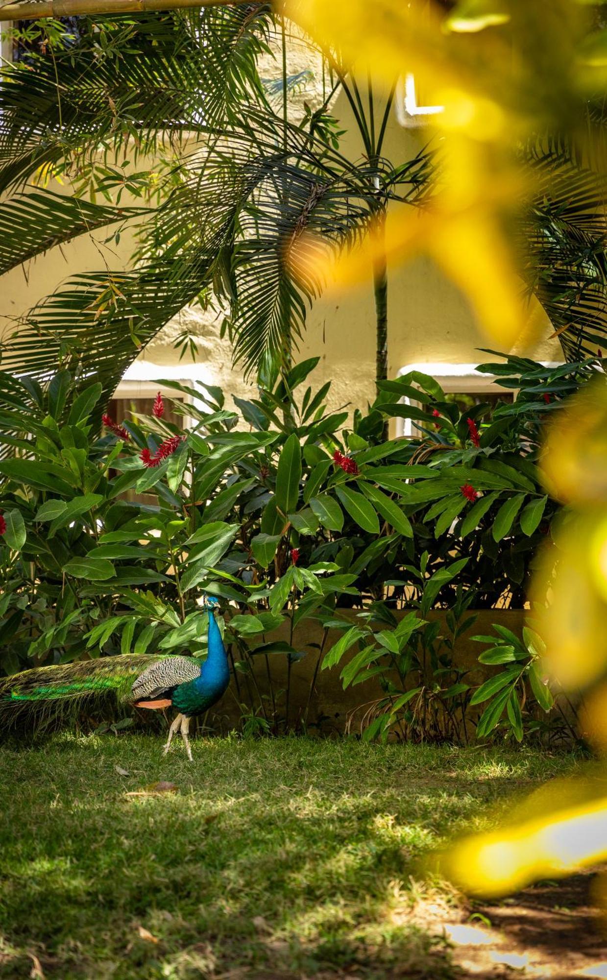 Hotel Villas Sayulita Luaran gambar